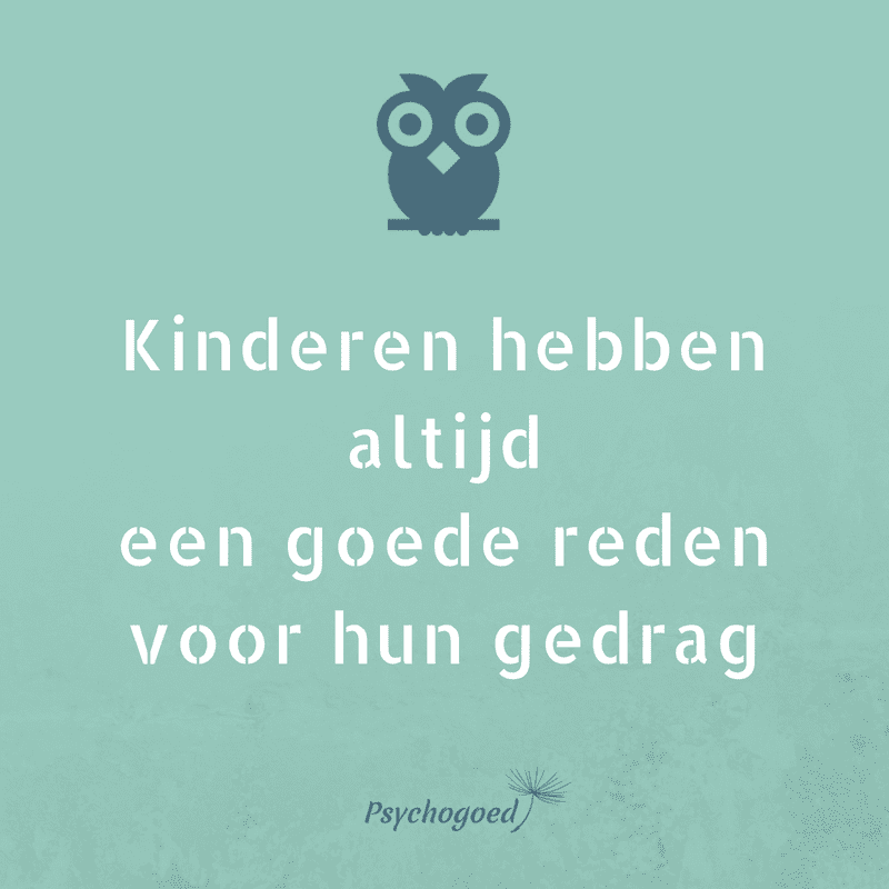 Kinderen hebben altijd een goede reden voor hun gedrag